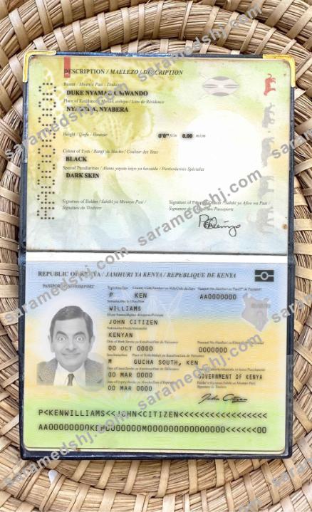 Kenya passport (2017-present) photo look